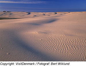 Wanderdüne „Råbjerg Mile“, Nordjütland