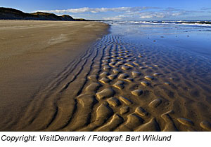 Strand in Jütland, Rubjerg Knude