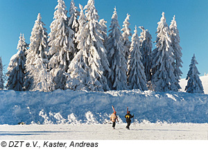 Skigebiet Feldberg