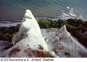 Kreidefelsen im Nationalpark Jasmund - Rügen