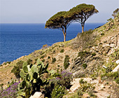 Ferienwohnungen auf Elba